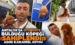 Antalya’da otobüste bulduğu köpeği sahiplendi: Adını Karamel koydu