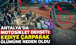 Antalya’da motosiklet dehşeti: Kediye çarparak ölümüne neden oldu