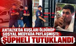 Antalya'da kuşları öldürüp sosyal medyada paylaşmıştı: Şüpheli tutuklandı