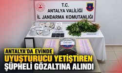 Antalya’da evinde uyuşturucu yetiştiren şüpheli gözaltına alındı