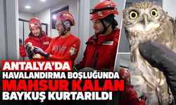 Antalya’da havalandırma boşluğunda mahsur kalan baykuş kurtarıldı