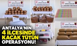 Antalya’nın 4 ilçesinde kaçak tütün operasyonu!