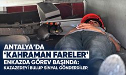 Antalya’da ‘Kahraman Fareler’ enkazda görev başında: Kazazedeyi bulup sinyal gönderdiler