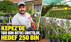 Antalya'nın Kepez ilçesinde 180 bin bitki üretildi, hedef 250 bin