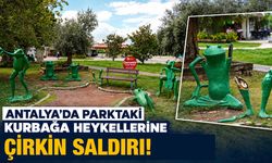 Antalya’da park girişindeki kurbağa heykellerine çirkin saldırı!