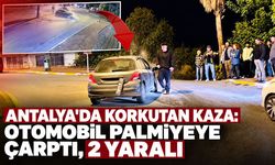 Antalya'da korkutan kaza: Otomobil palmiyeye çarptı, 2 yaralı