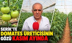 Serik'te domates üreticisinin gözü kasım ayında