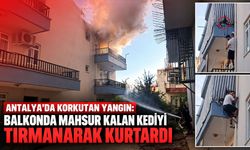 Antalya’da korkutan yangın: Balkonda mahsur kalan kediyi tırmanarak kurtardı