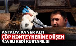 Antalya’da yavru kedi yer altı çöp konteynerinin altına düştü: Ekipler seferber oldu