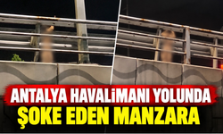 Antalya havalimanı yolunda şoke eden manzara: Çıplak adam kamerada