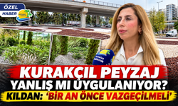 Kurakçıl peyzaj yanlış mı uygulanıyor? Kıldan: "Bir an önce vazgeçilmeli"