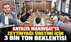 Antalya Manavgat’ta zeytinyağı üretimi için 3 bin ton beklentisi
