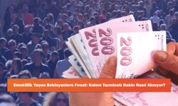 Emeklilik Yaşını Bekleyenlere Fırsat: Kıdem Tazminatı Hakkı Nasıl Alınıyor?