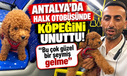 Antalya'da halk otobüsünde köpeğini unuttu! "Bu çok güzel bir şeymiş gelme"