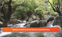 OGM’den Kadrolu İş Fırsatı: Başvuru Tarihi Belli Oldu!