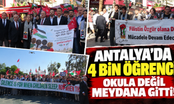 Antalya'da 4 bin öğrenci okula değil meydana gitti!