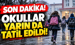 Okullar yarın da tatil edildi! Valiliklerden peş peşe açıklama