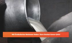 Süt Üreticilerine Beklenen Haber: İlave Destek Kararı Çıktı!