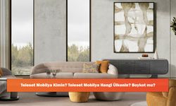 Teleset Mobilya Kimin? Teleset Mobilya Hangi Ülkenin? Boykot mu?