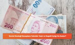Devlet Desteği Hesaplara Yatırıldı: Yaşlı ve Engelli Aylığı Ne Kadar?