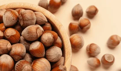 18 Mart 2026 Çarşamba fındık fiyatları ne kadar? İl il güncel fındık fiyatları