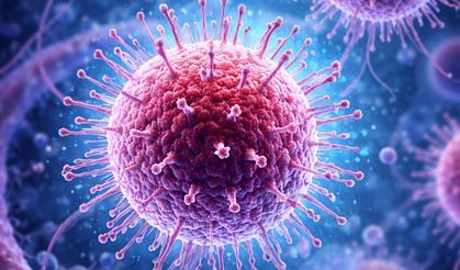 İngiltere Kent Bölgesinde Ortaya Çıkan Ölümcül Menenjit Salgını Ülke Genelinde Büyük Panik Yarattı