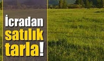 Antalya Alanya’da 1.348 m² Değerli Arsa İcradan Satışa Çıkıyor: Muhammen Bedel 50 Milyon TL’yi Aştı
