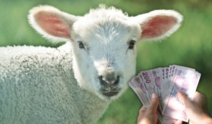 Kurban Bayramı ikramiyesi belli oldu!