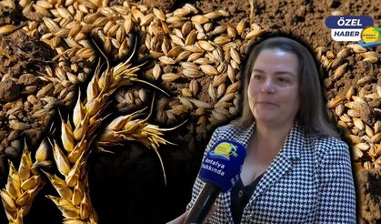 Tarımda iklim krizi alarmı: "Antalya'da en az 16 bin dönüm arazi zarar gördü"