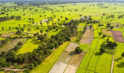 Alanya’da 620 m² Konut İmarlı Arsa 12,8 Milyon TL Bedelle Mahkemeden Satışa Çıkarıldı
