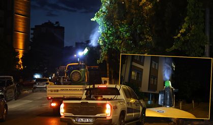 Antalya'da vektörle mücadele sürüyor: 19 ilçe ilaçlanıyor