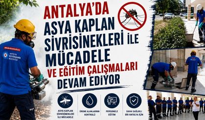 Antalya'da Asya kaplan sivrisineklerine mücadele ve eğitim çalışmaları devam ediyor