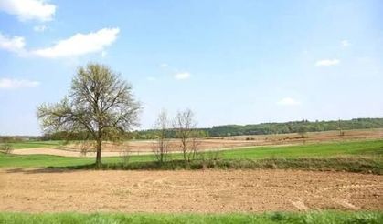 Antalya Aksu'da 20 Milyon TL Değerindeki Tarla İcradan Satışa Çıkarıldı