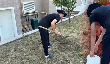 Burdur'da topluma faydalı ceza: Adliye bahçesine 10 fidan dikti
