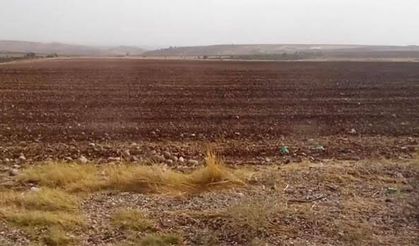 Antalya Kepez’de 14 Bin Metrekarelik Tarla Hissesi İcradan Satılıyor! İhale Tarihleri Belli Oldu