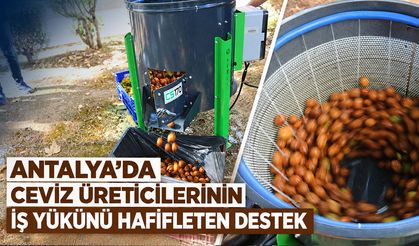 Antalya’da ceviz üreticilerinin iş yükünü hafifleten destek