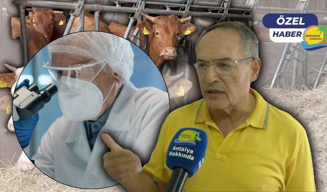 “Deli Dana” endişesine Antalya'da uzmandan yanıt: "Türkiye’de vaka görülmedi"