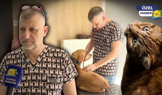 Evcil hayvan sahipleri dikkat! Son gün 31 Aralık