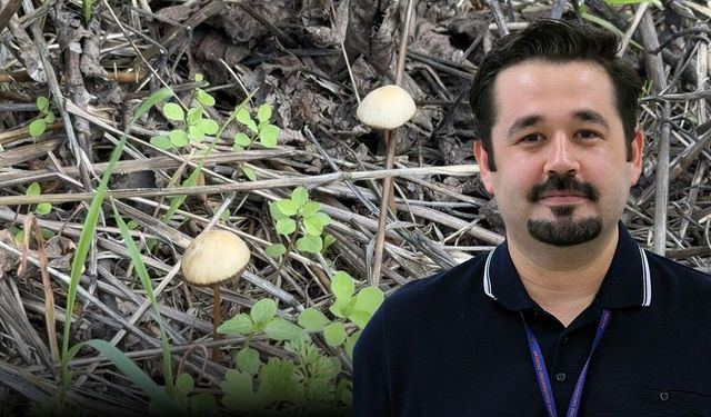 Akdeniz Üniversitesi'nden mantar uyarısı! "Her 3 mantardan 1'i sizi hastanelik edebilir"