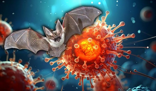 Yarasalardan bulaşan ölümcül virüse karşı uyarı!