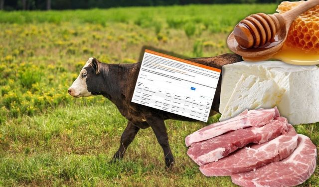 Antalya'da 4 firma daha o listede! Taklit ve tağşiş listesi güncellendi