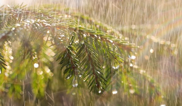 Antalya günlük hava durumu - 23.02.2026