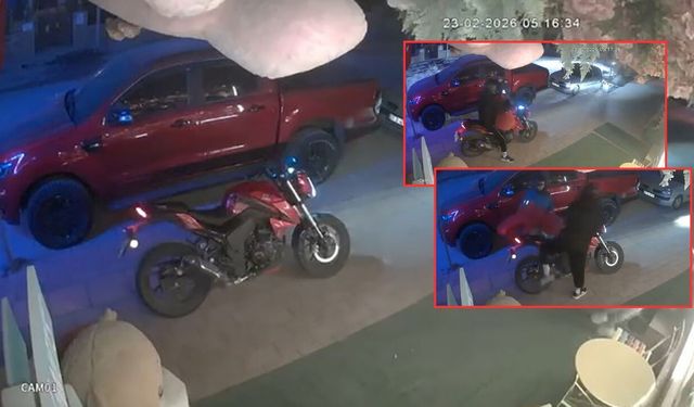 Antalya'da çiçekçi önünden pelüş ayı çalındı!