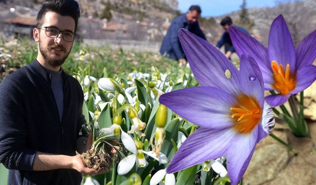 Antalya'da Toros Kardeleni mercek altında!