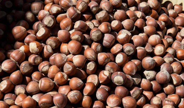 4 Mart 2026 Çarşamba fındık fiyatları ne kadar?