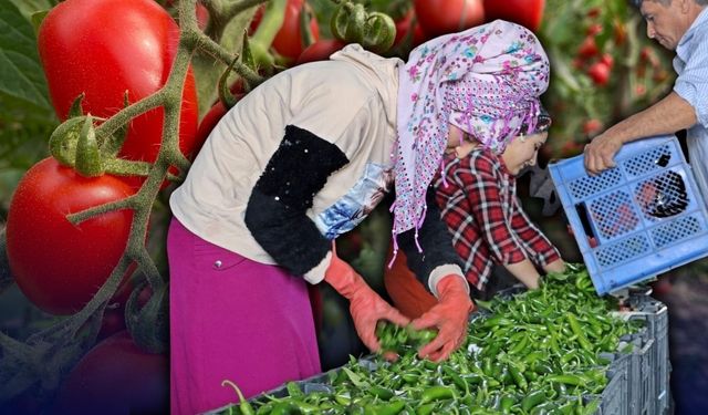 Antalya halinde Şubat tablosu netleşti: Fiyatlarda artış var