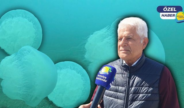 Antalya kıyılarını dev denizanaları vurdu: Temas eden dikkat!