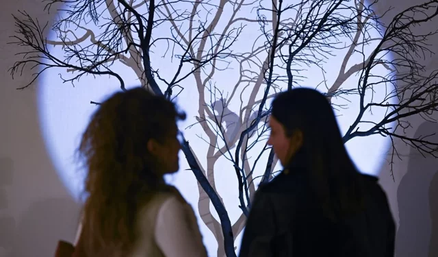 CerModern Sanat Galerisinde Can Kaybı Yok İsimli Sergi Sanatseverlerle Buluştu