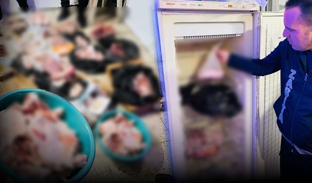 Antalya'da mide bulandıran görüntü: Bozulmuş etleri satacaklardı!