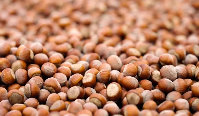 18 Nisan 2026 Cumartesi fındık fiyatları ne kadar? İl il fındık fiyatları